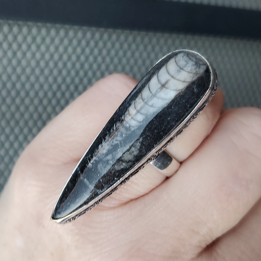 New Oversized Orthoceras Fossil 925 Silver Statement Ring.
